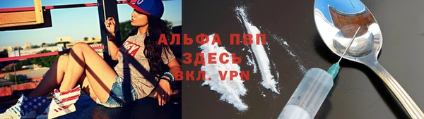гидра Чердынь