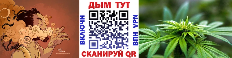 Купить где Гурьевск Канабис OG Kush